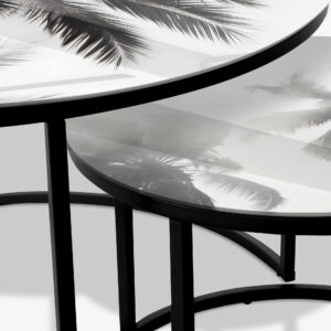 Palm 3