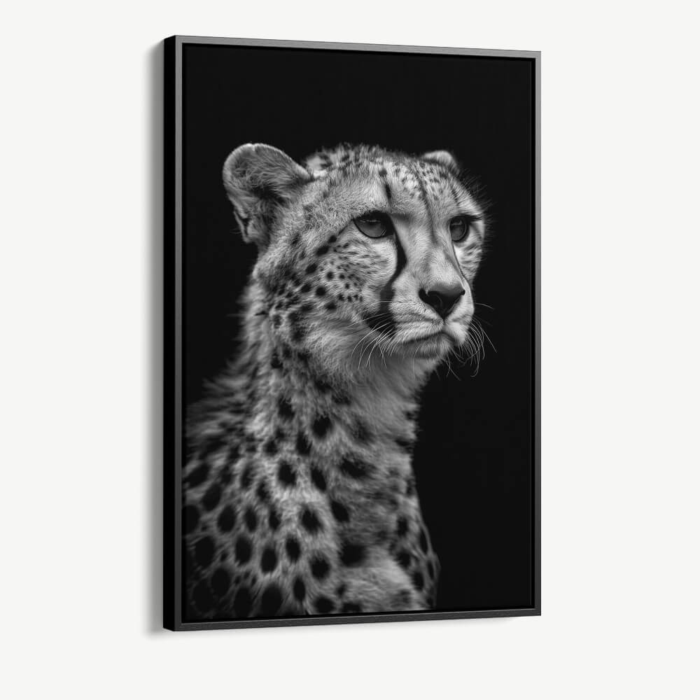 1.-Cvas-Detail-1-Cheetah’s-View
