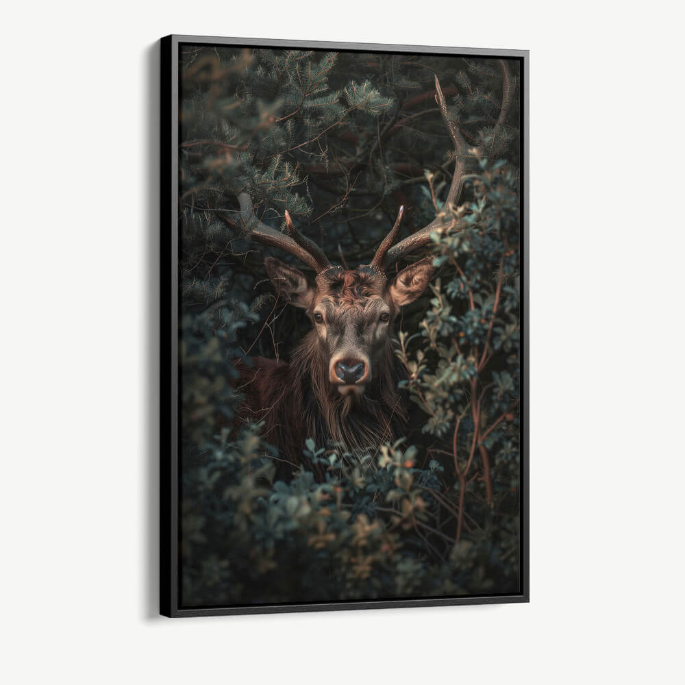 1.-Cvas-Detail-1-Forest-Sentinel