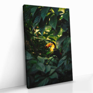 2.-Cvas-Detail-5-Tucan-between-the-Leaves