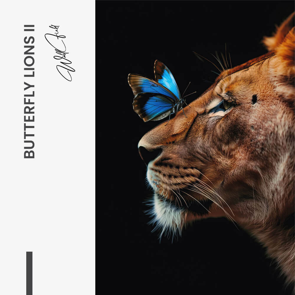 11.-Design-signature-Butterfly-Lioness