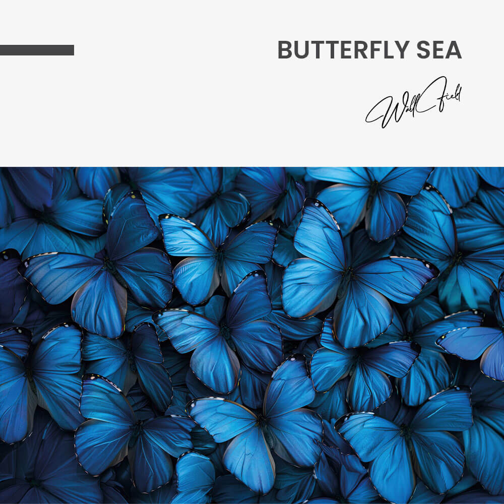 11.-Design-signature-Butterfly-Sea