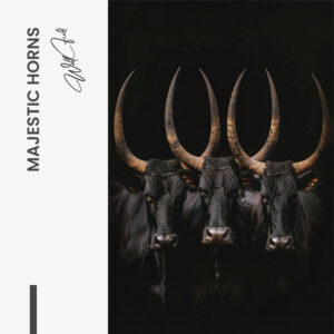 11.-Design-signature-Majestic-Horns