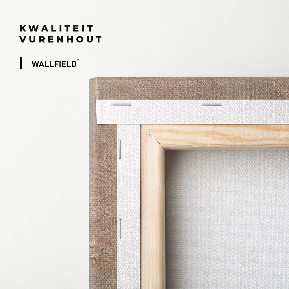 5.-Cvas-Detail-3-Cozy-III