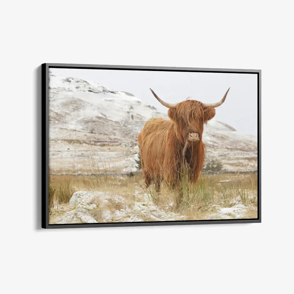 1.-Cvas-Detail-1-Nordic-Highlander
