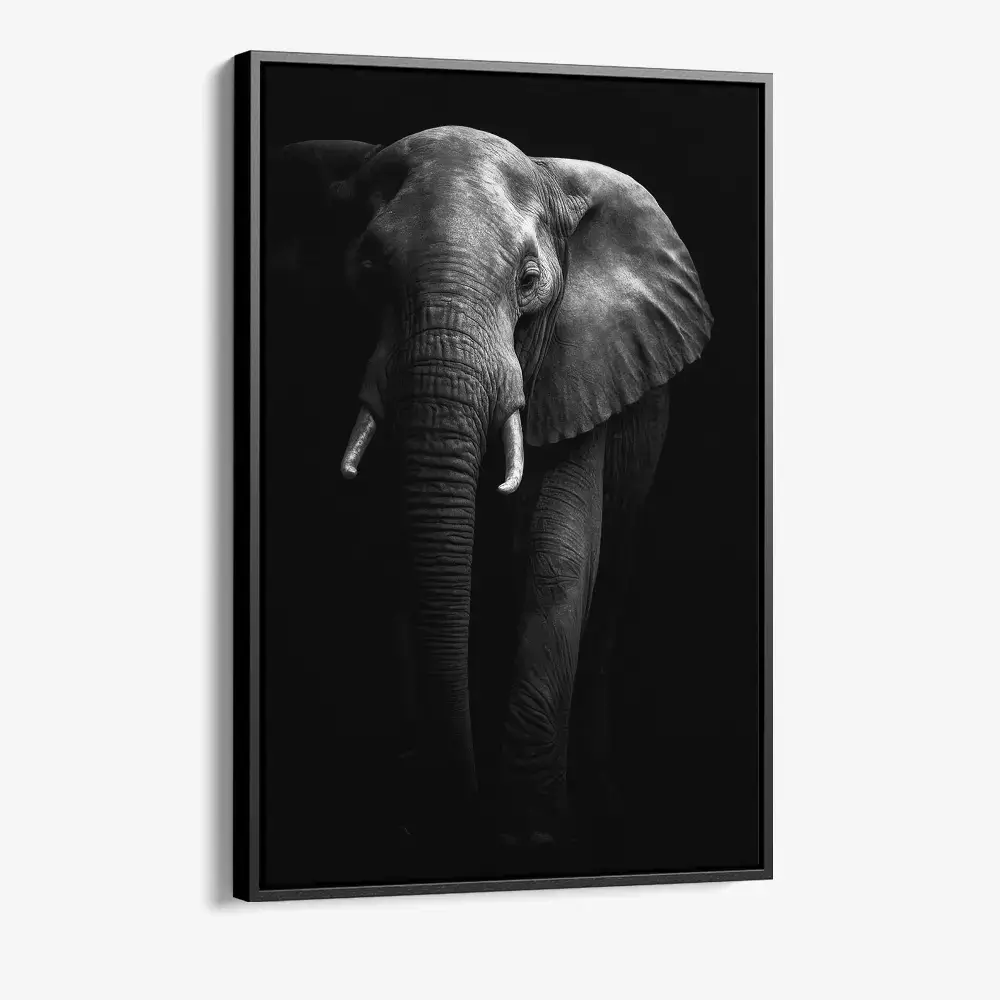 1.-Cvas-Detail-1-Safari-I