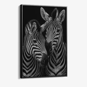 1.-Cvas-Detail-1-Safari-II