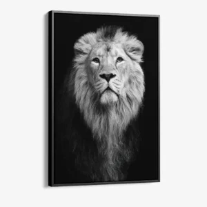 1.-Cvas-Detail-1-Safari-III