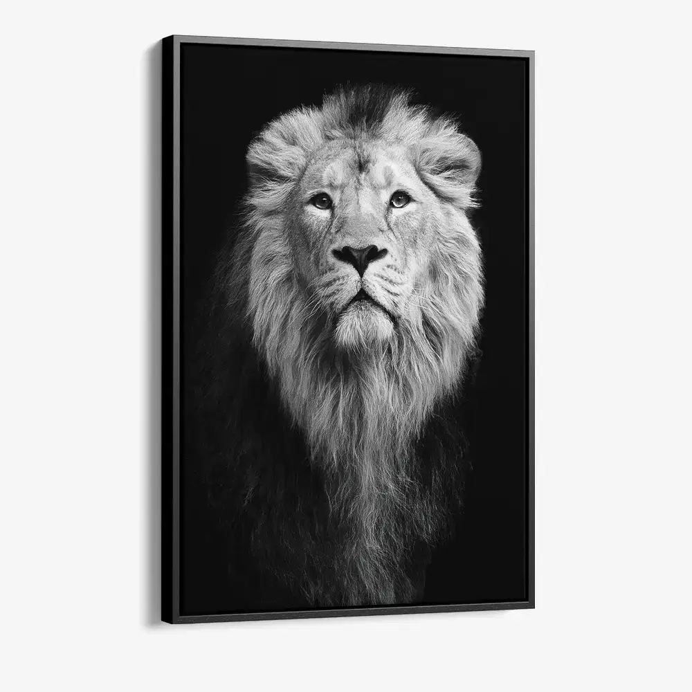1.-Cvas-Detail-1-Safari-III