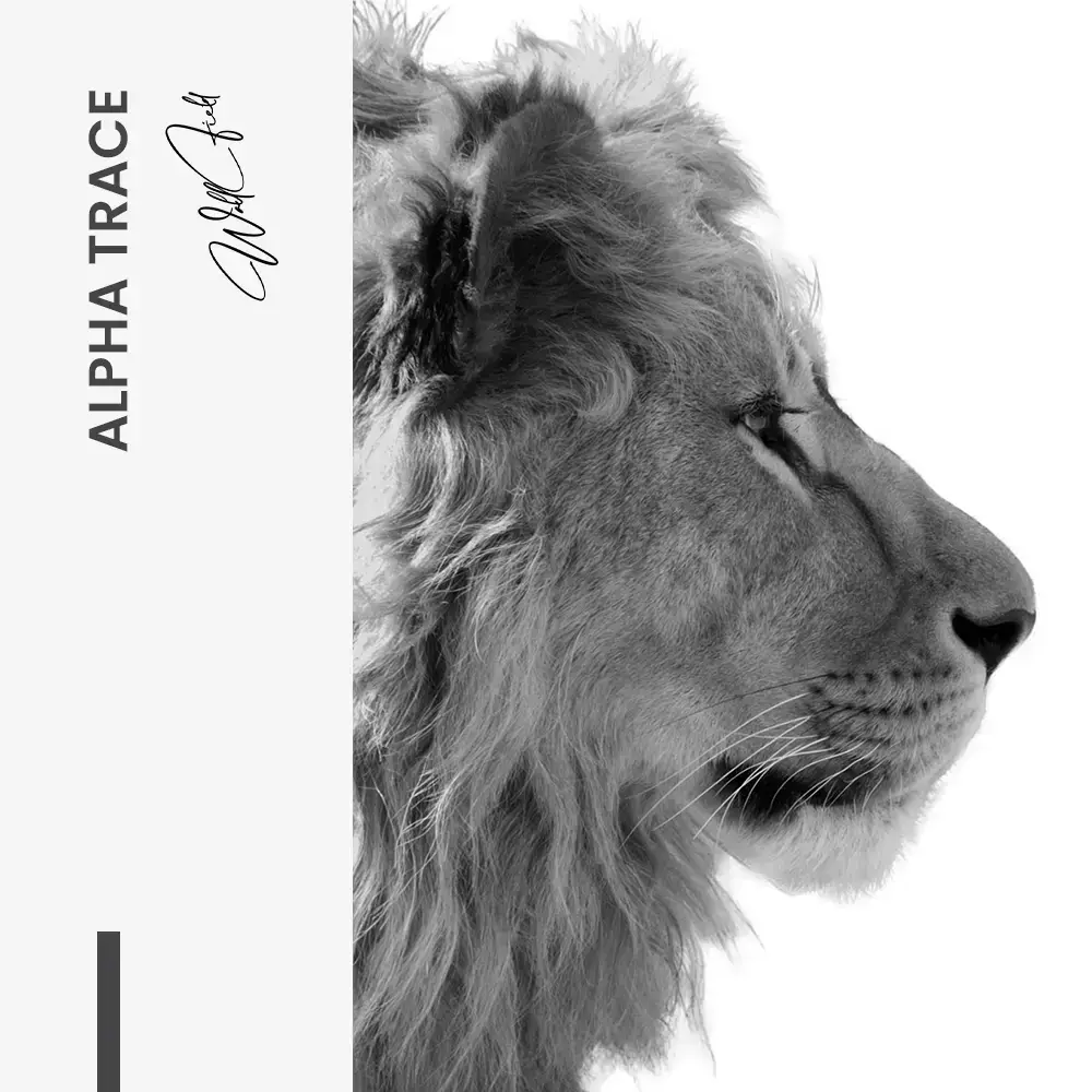 11.-Design-signature-Alpha-Trace