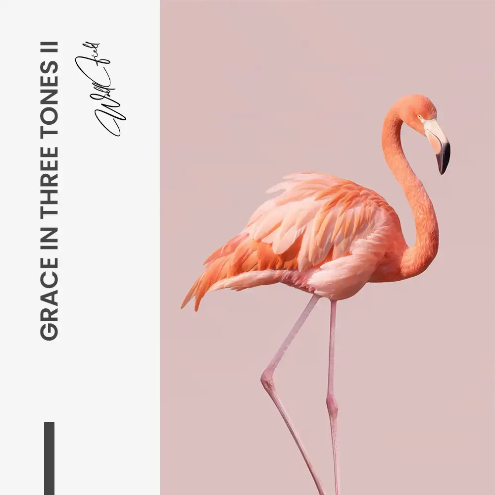 11.-Design-signature-Grace-in-Three-Tones-II