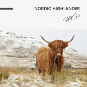 11.-Design-signature-Nordic-Highlander