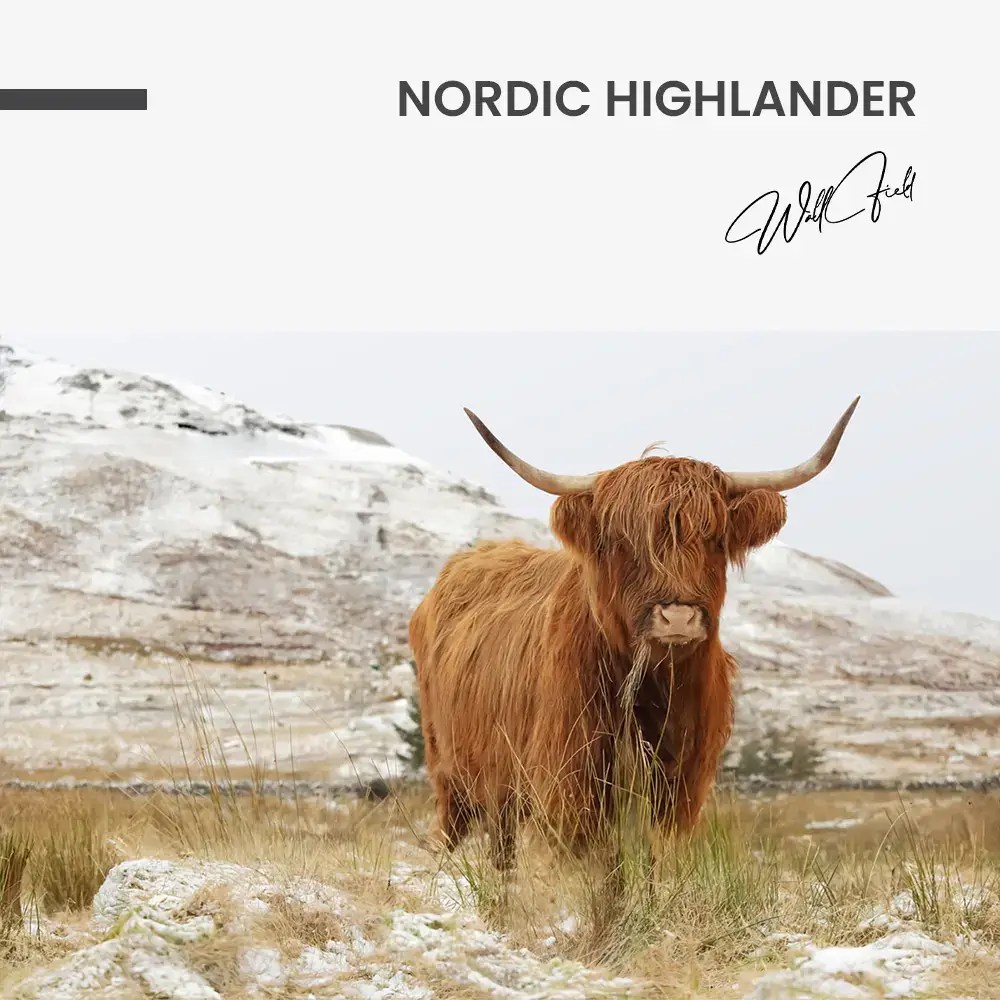 11.-Design-signature-Nordic-Highlander