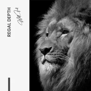 11.-Design-signature-Regal-Depth