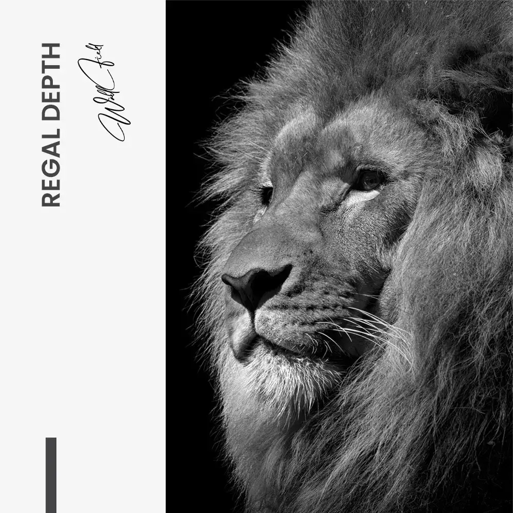 11.-Design-signature-Regal-Depth
