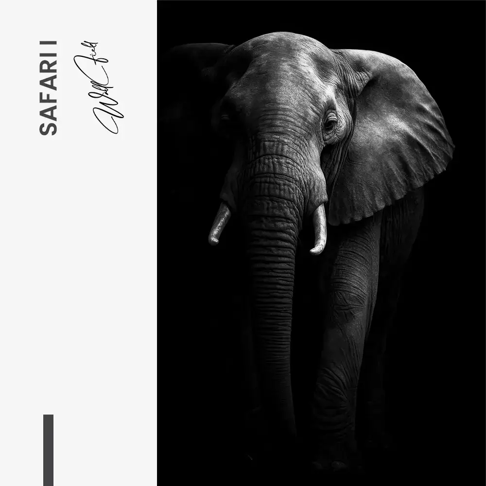 11.-Design-signature-Safari-I