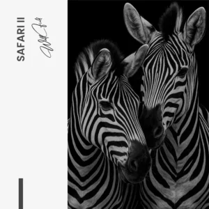 11.-Design-signature-Safari-II