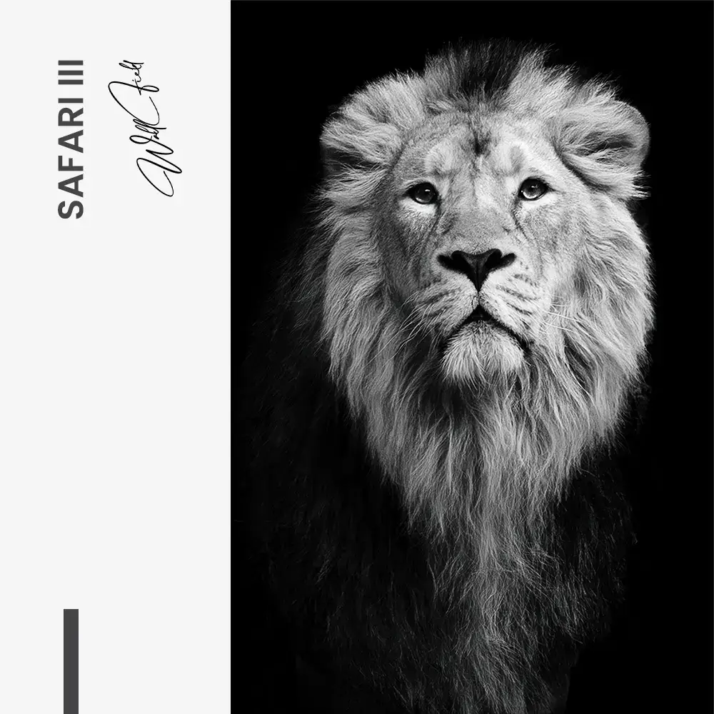 11.-Design-signature-Safari-III