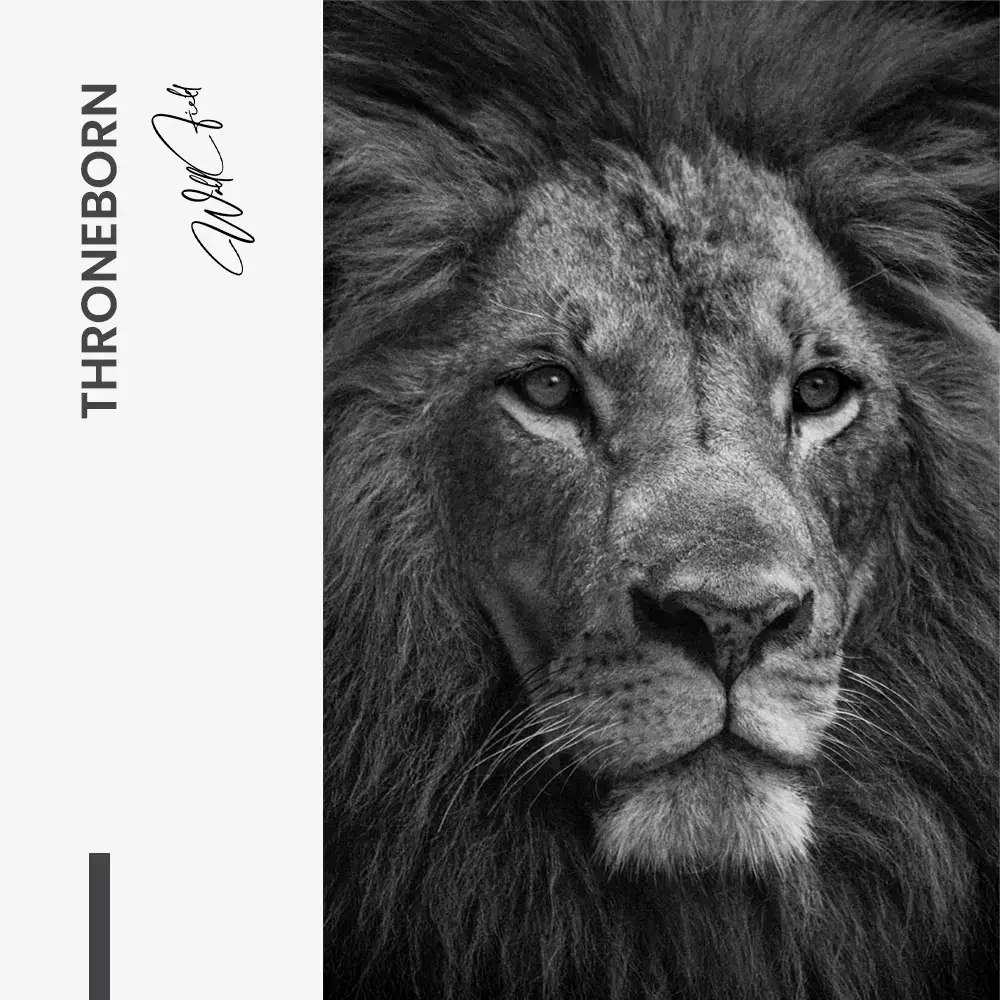 11.-Design-signature-Throneborn