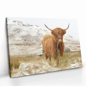 2.-Cvas-Detail-5-Nordic-Highlander