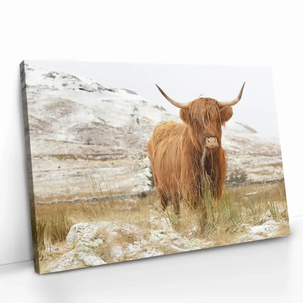 2.-Cvas-Detail-5-Nordic-Highlander