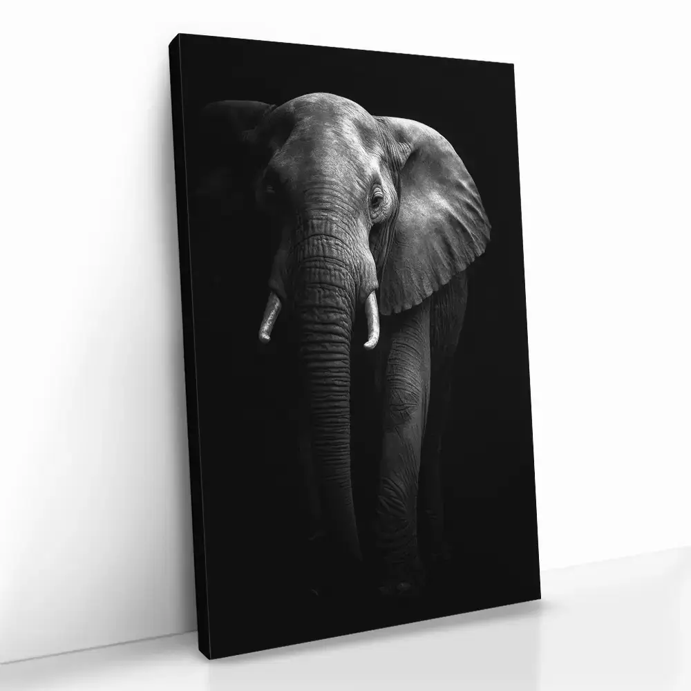 2.-Cvas-Detail-5-Safari-I