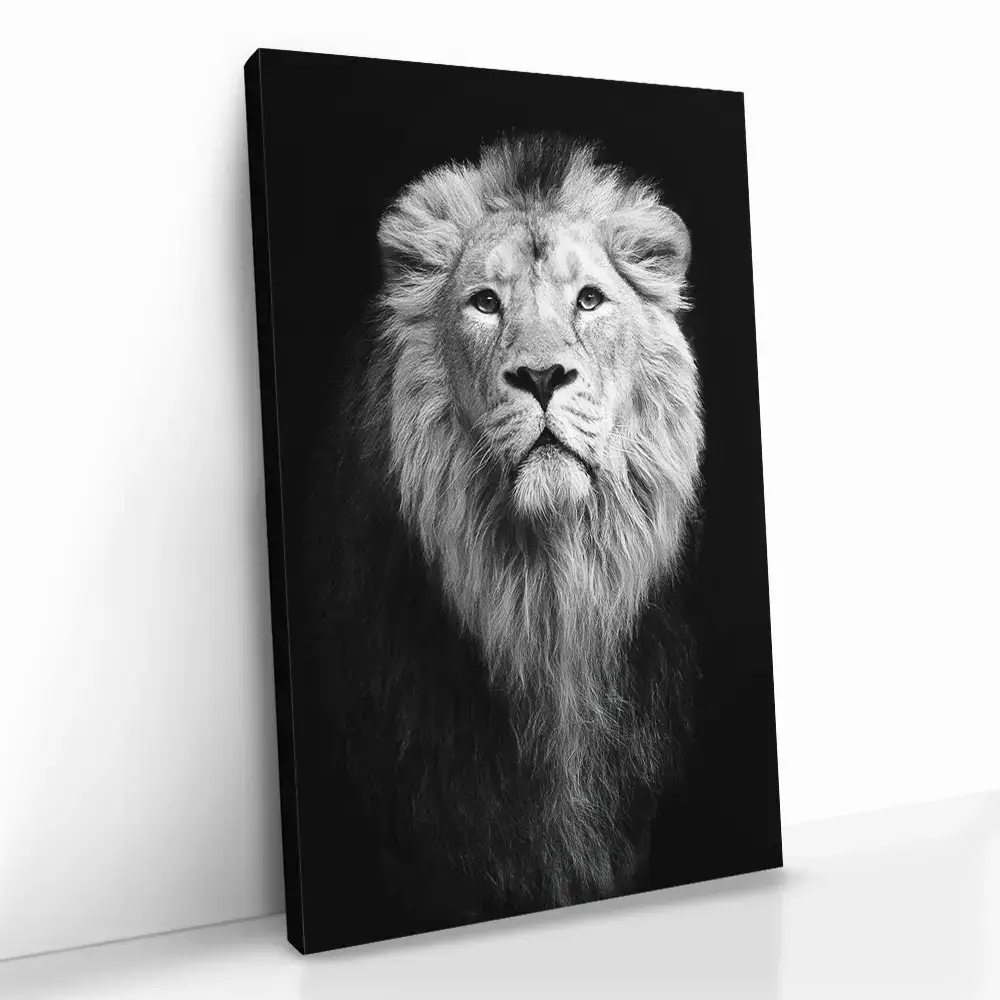 2.-Cvas-Detail-5-Safari-III