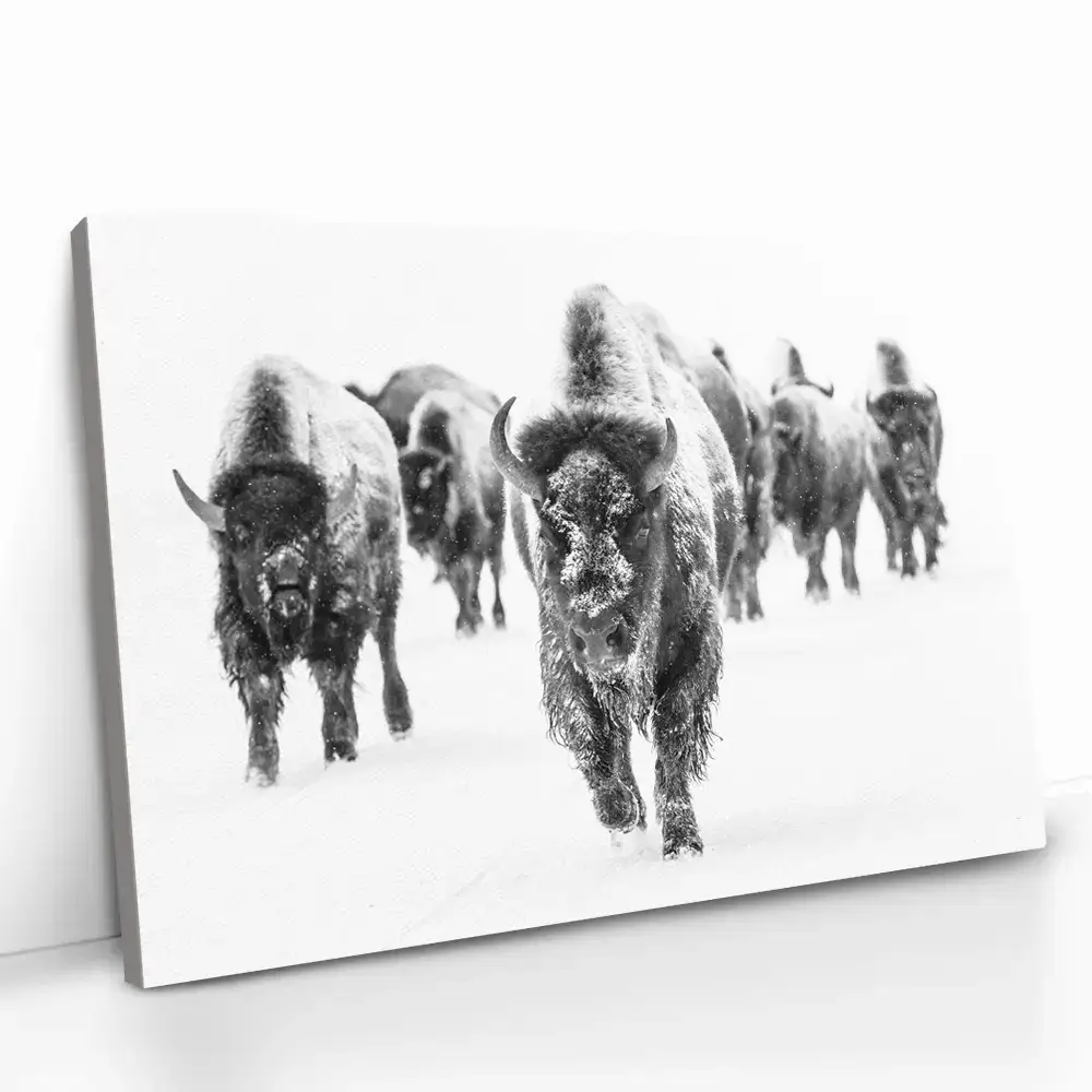 2.-Cvas-Detail-5-Through-the-Snow