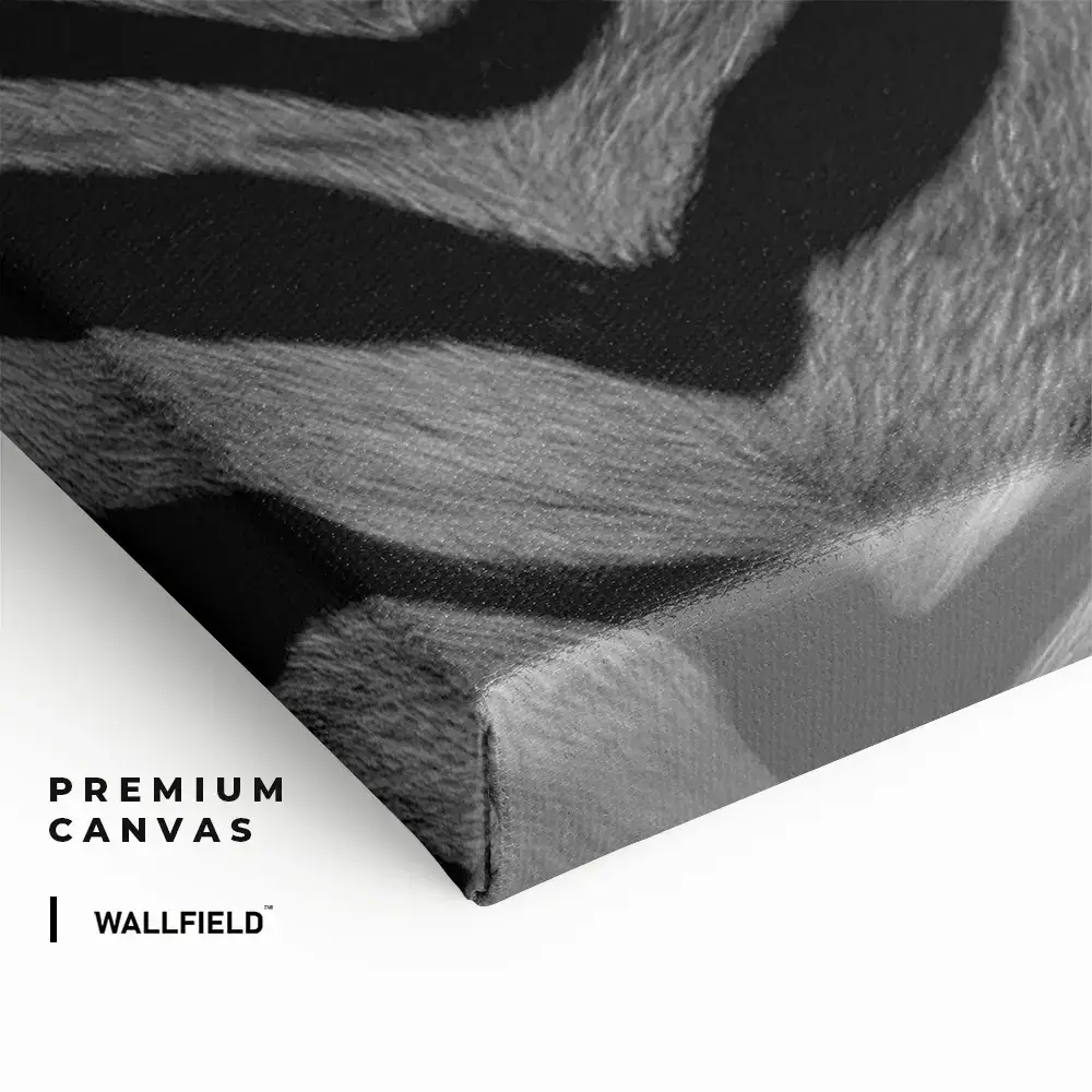 4.-Cvas-Detail-2-Safari-II