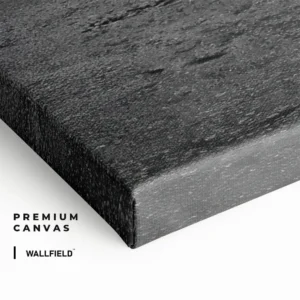4.-Cvas-Detail-2-Shop-Motion
