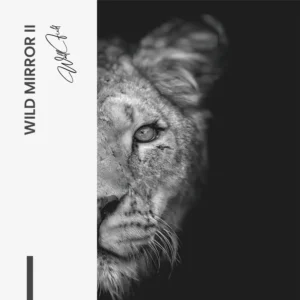 8.-Design-signature-2-Bundle-Wild-Mirror