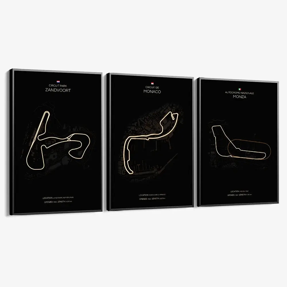 1.-Cvas-Detail-1-Bundle-F1-Tracks-3x