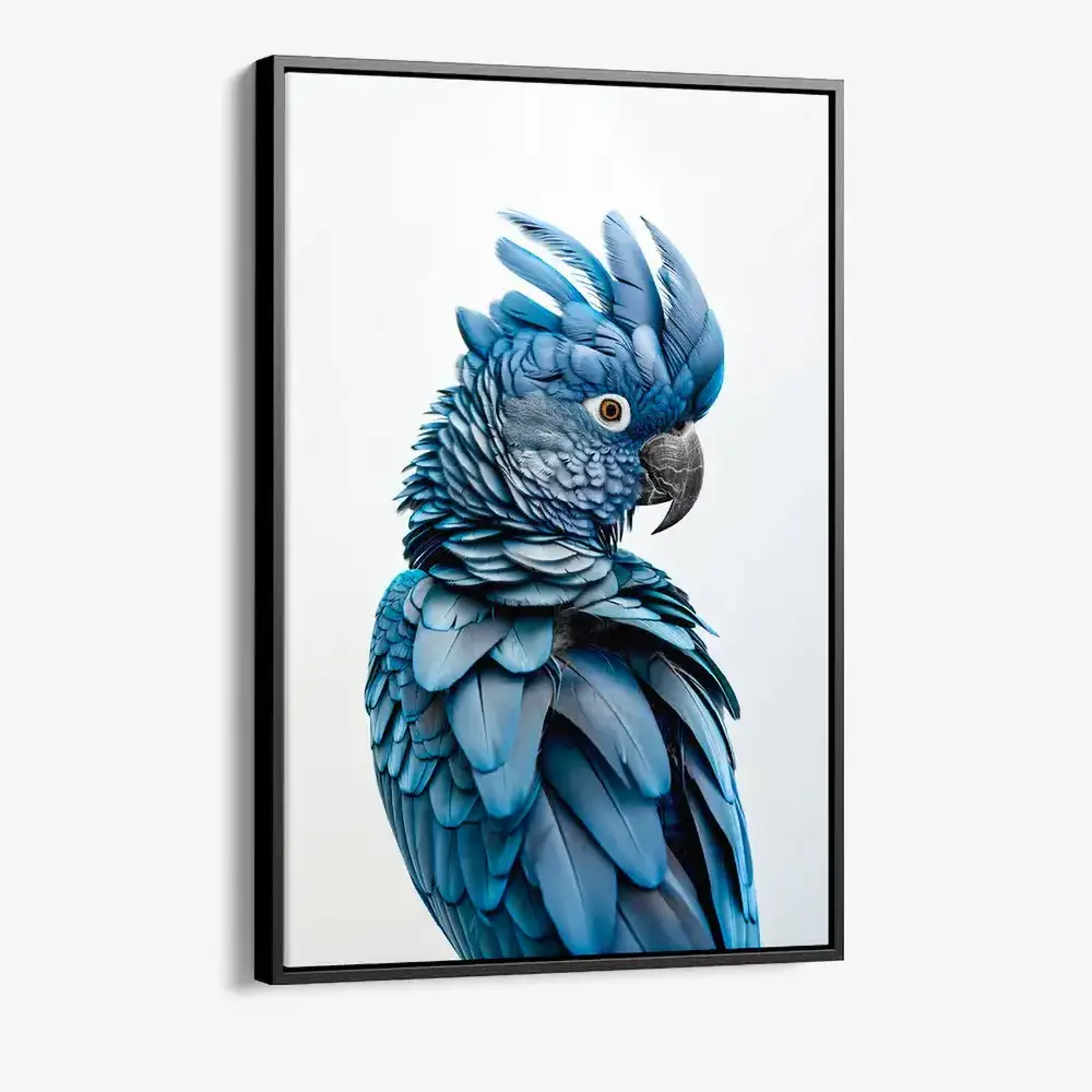 1.-Cvas-Detail-1-Sapphire-Parrot
