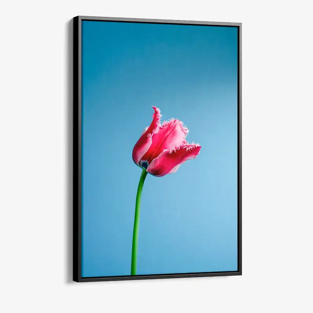 1.-Cvas-Detail-1-Singular-Tulip