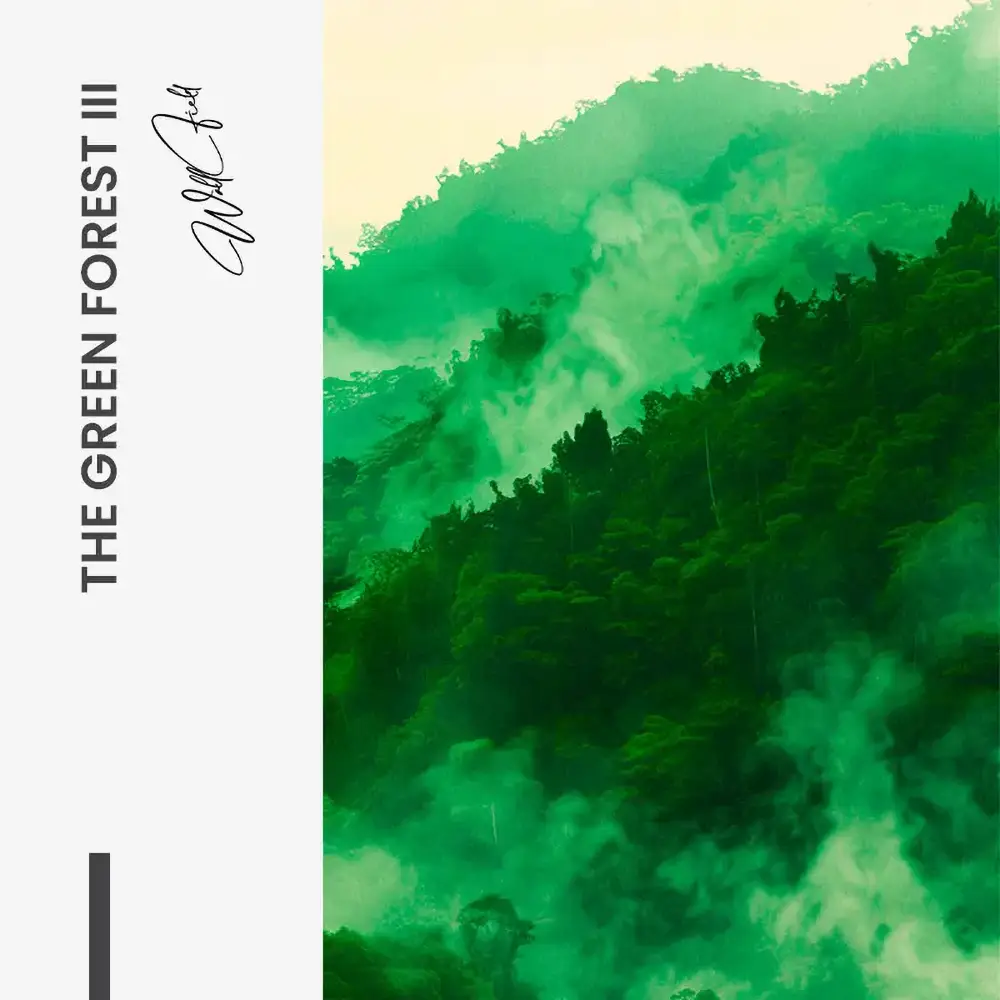 10.-Design-signature-3-Bundle-The-Green-Forest-3x