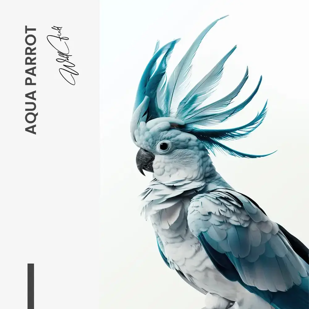 11.-Design-signature-Aqua-Parrot