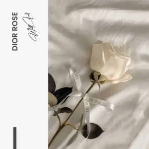 11.-Design-signature-Dior-Rose