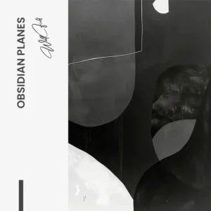 11.-Design-signature-Obsidian-Planes