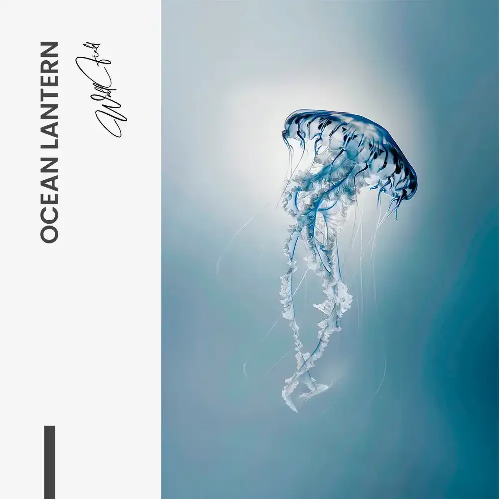 11.-Design-signature-Ocean-Lantern