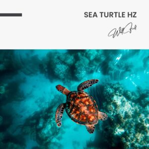 11.-Design-signature-Sea-Turtle-HZ.jpg