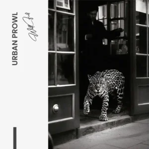 11.-Design-signature-Urban-Prowl