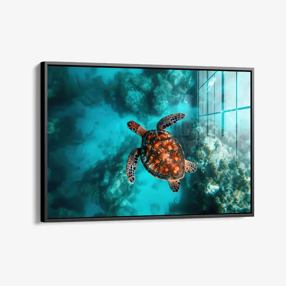 11851-framed-glass.webp