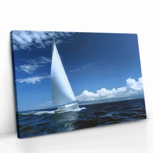 2.-Cvas-Detail-5-Catching-the-Wind-II