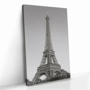 2.-Cvas-Detail-5-Parisian-Sentinel