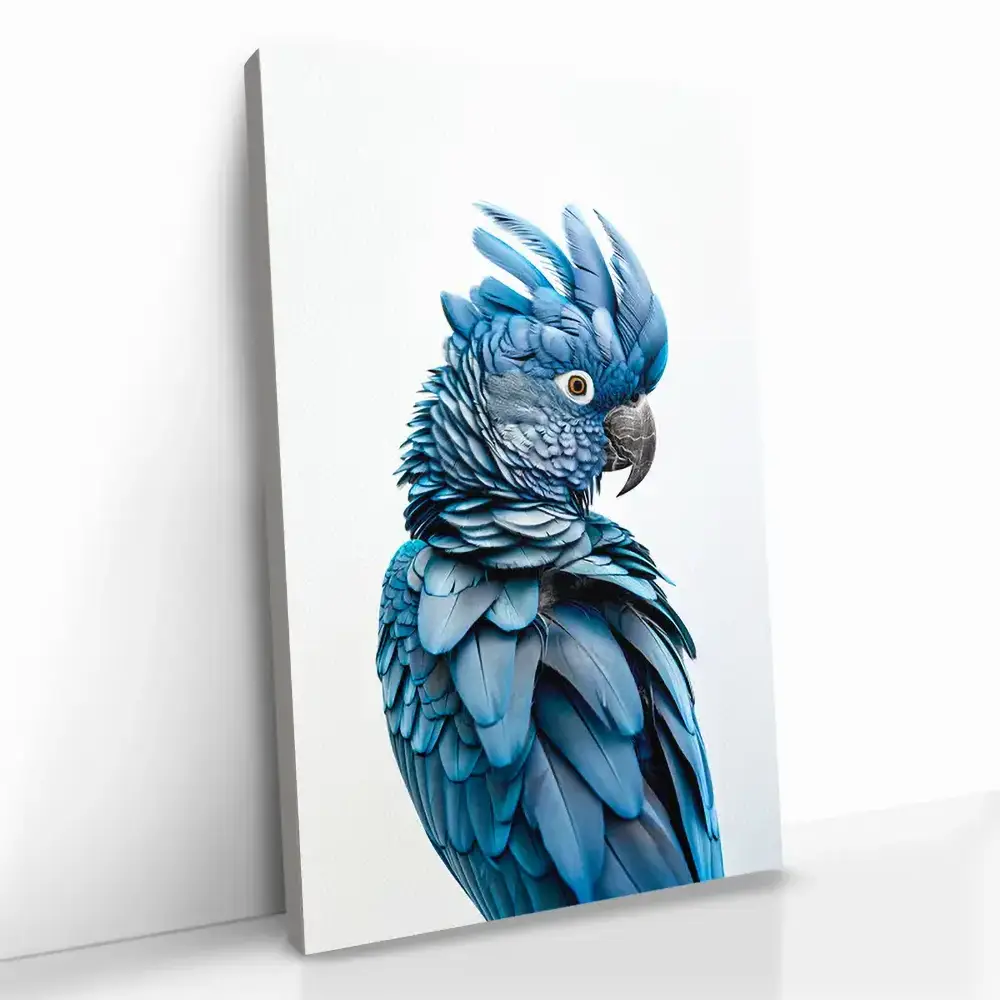 2.-Cvas-Detail-5-Sapphire-Parrot