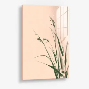 Reed Sonata – Glass