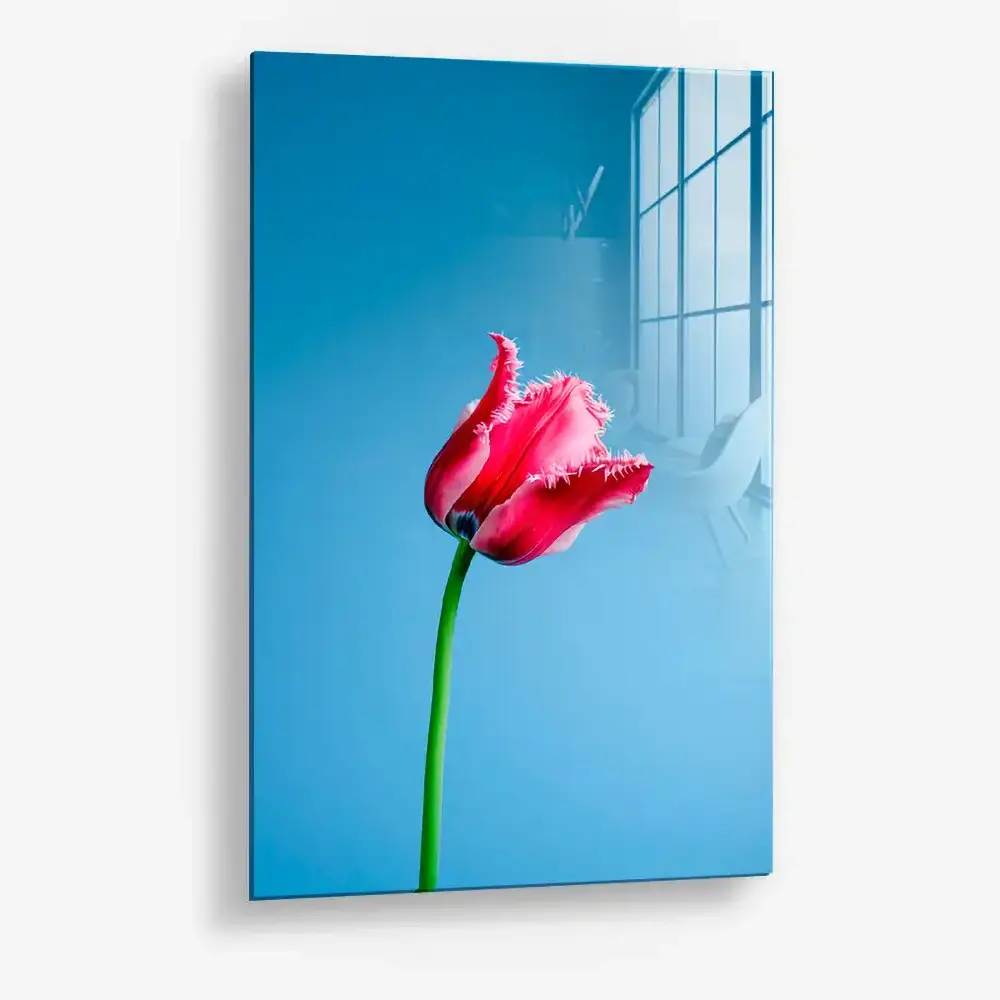 7.-Glass-Detail-1-Singular-Tulip