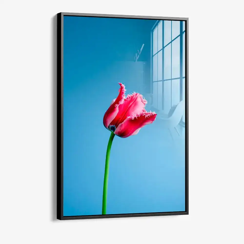 8.-Glass-Framed-Singular-Tulip