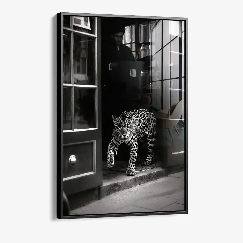8.-Glass-Framed-Urban-Prowl