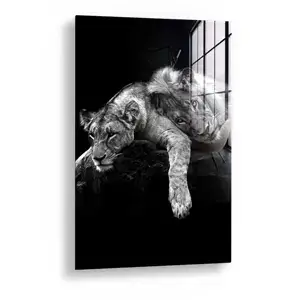 image_product_cat